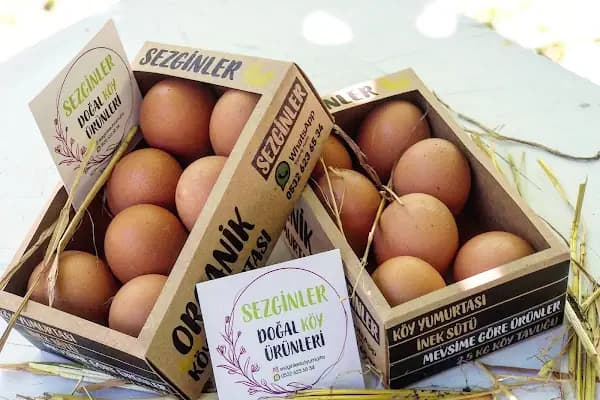 SEZGİNLER SÜT YUMURTA HACIMAŞLI - Süt Ürünleri Satış Mağazası - İstanbul Arnavutköy