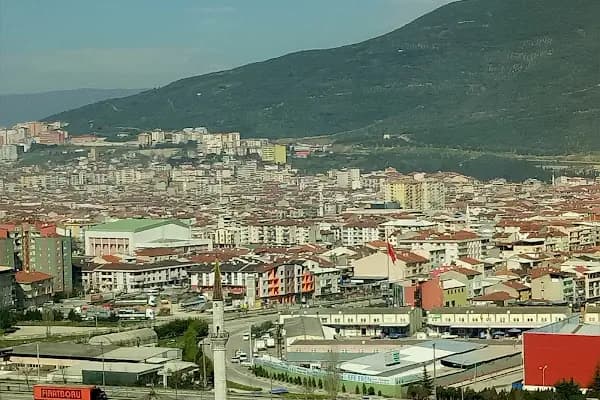 Solive Zeytin - Sağlıklı Yiyecek Mağazası - Bursa Gemlik
