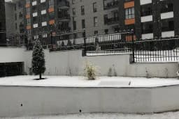 Yükselen Park Mercan