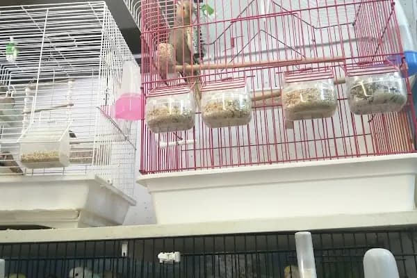 Paw Club Petshop &amp; Petkuaför Bodrum - Evcil Hayvan Malzemeleri Mağazası - Muğla Akçaalan Mahallesi