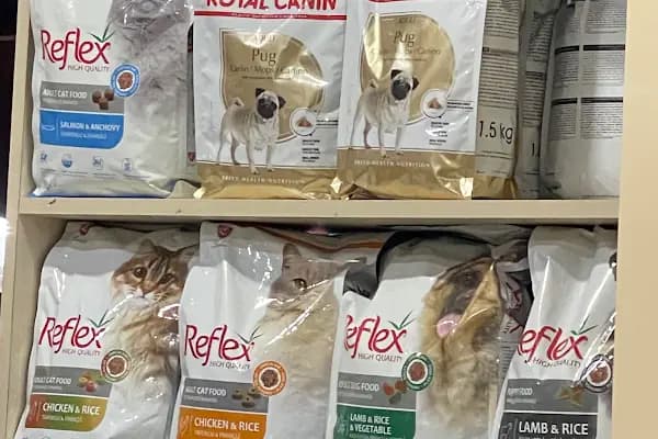 Aktaş Petshop 2 - Evcil Hayvan Malzemeleri Mağazası - İstanbul Başakşehir