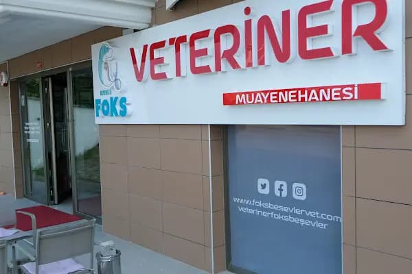 FOKS BEŞEVLER VETERİNER KLİNİĞİ - Veteriner - Bursa Harmancık