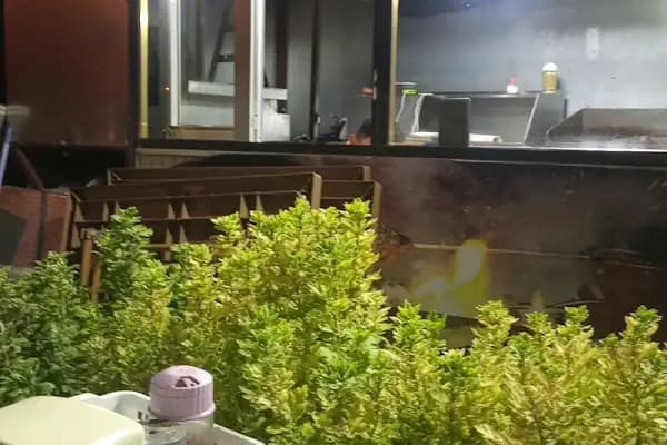 Park Kokoreç - Fast food lokantası - Denizli Pamukkale