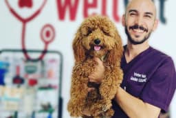 WellVet Veteriner Sağlık Merkezi