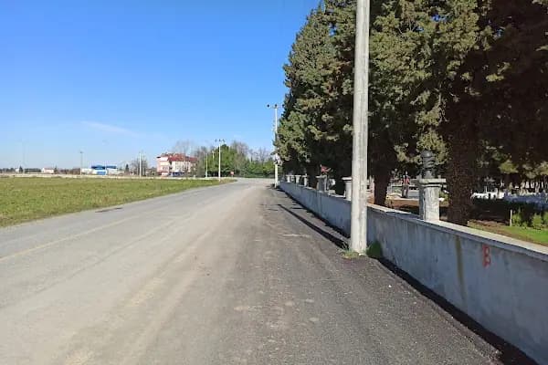 19 Mayıs - Yerleşim Yeri - Samsun Tekkeköy