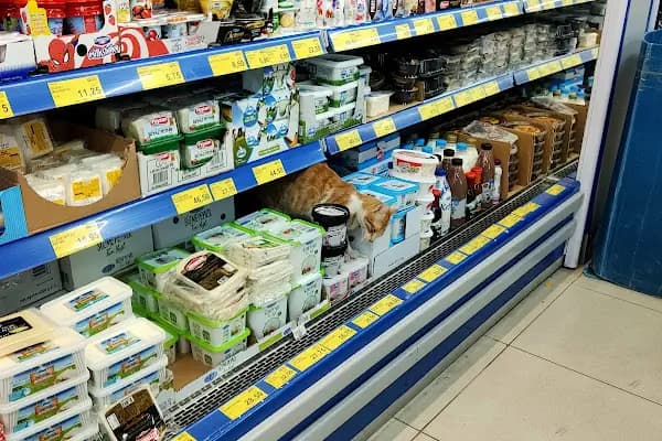 A•101 - Süpermarket - İzmir Foça