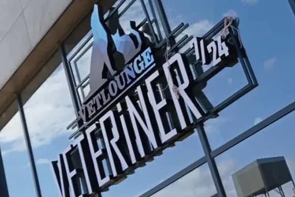 Bahçeşehir Vetlounge Veteriner Kliniği - Veteriner - İstanbul Başakşehir