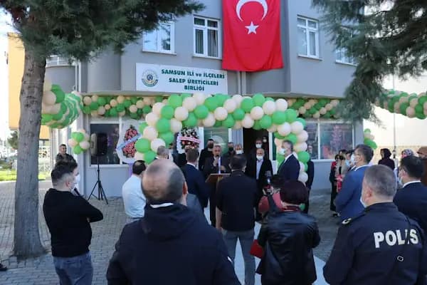 Samsun İli ve İlçeleri Salep Üreticileri Birliği - Tarım Sektörü Derneği - Samsun 19 Mayıs