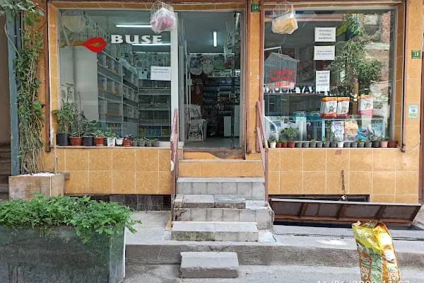 Buse Kuş ve Balık Petshop - Evcil hayvan mağazası - Bursa İnegöl
