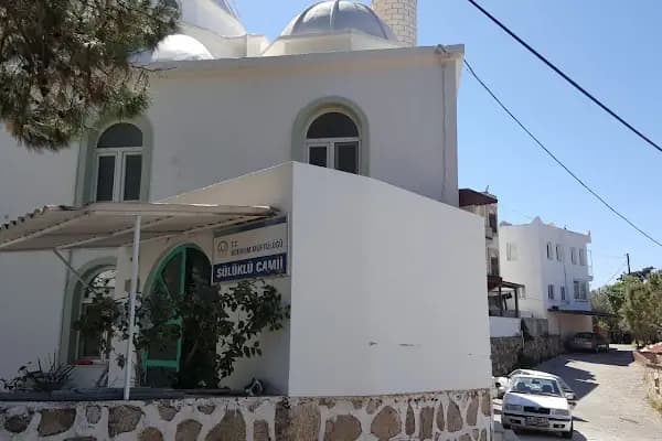 Sülüklü Cami - Cami - Muğla Bodrum