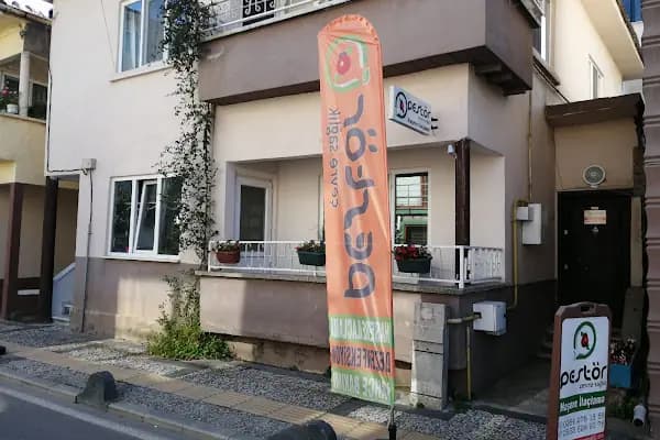 Pestör Haşere İlaçlama - Haşere İlaçlama Hizmeti - Sakarya Erenler