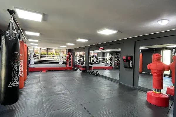 Kaan Dursun Fight Academy - Spor salonu - Antalya Konyaaltı