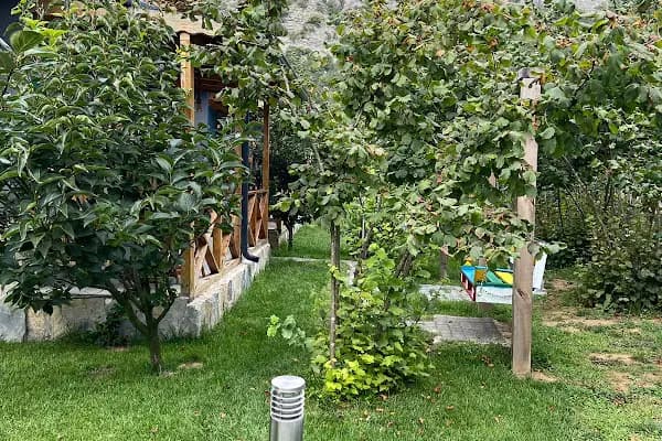 Tiny River House Ağva - Otel - İstanbul Bayrampaşa