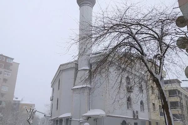 Koçlar Hacı Muhlis Ağa Ve Hacı Fatma Hatun Camii - Cami - İstanbul Avcılar