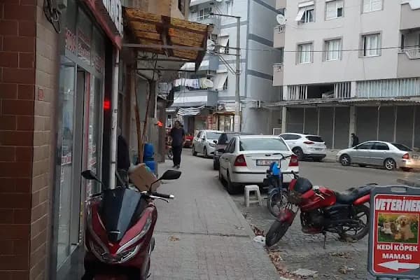 Haşere İlaçlama Servisi Aliağa - Haşere İlaçlama Hizmeti - İzmir Bayraklı