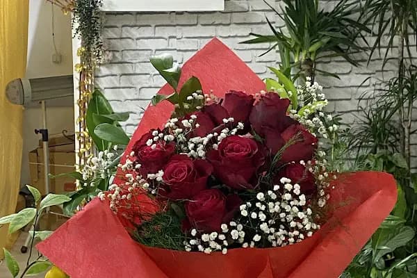 Sefaköy Çiçekçi &amp; İzden Flowers - Çiçekçi - İstanbul Bağcılar