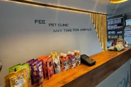 Fee Veteriner Cerrahi Kliniği Özlüce Bursa