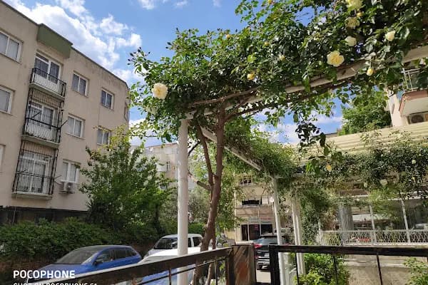Özel Aysun Ak İngilizce Bornova Merkez Şube Yabancı Dil Kursu - Eğitim Merkezi - İzmir Çeşme
