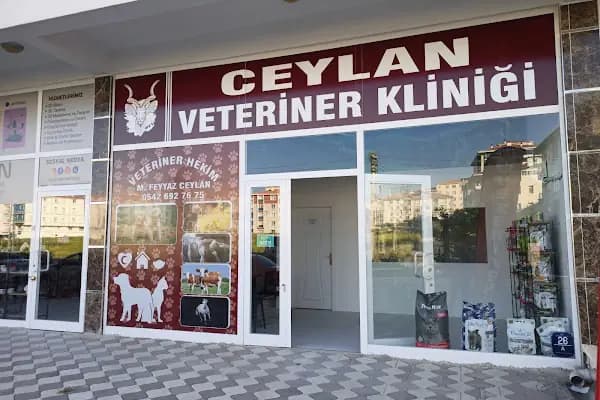 Ceylan Veteriner Kliniği - Veteriner - Ankara Akyurt