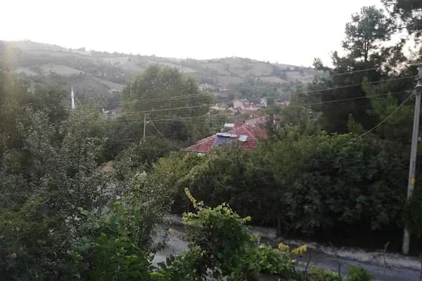 Çocuk Bahçesi - Park - Samsun Alaçam