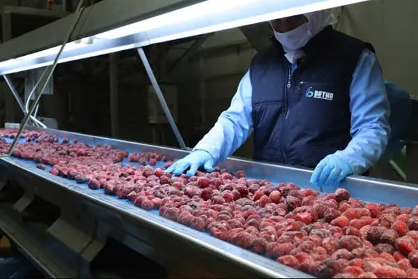 Betka Gıda - Betka Fresh - Dondurulmuş Gıda Üreticisi - Bursa Yıldırım