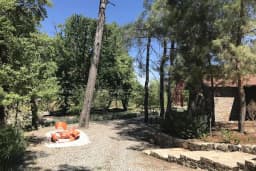 Dilara Akay Sculpture Garden