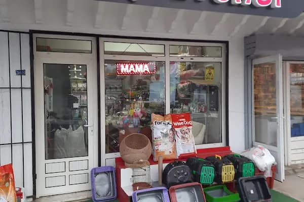 cocopetshop bodrum - Evcil hayvan mağazası - Muğla Bodrum