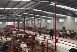 Korkmazlar Hayvancılık İşletmesi