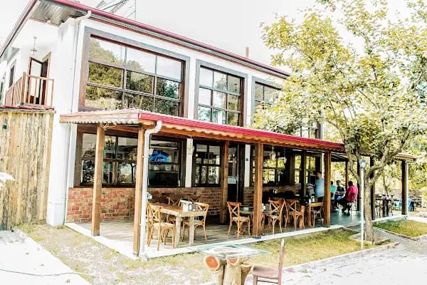 Kaan Olta Balık Restorantı - Balık Restoranı - Trabzon Akçaabat