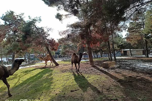 Gaziantep Hayvanat Bahçesi Binicilik & Pony Club - Binicilik Kulübü - Gaziantep Şahinbey