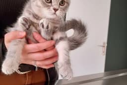 Çerkezkoy Petlife Veteriner Kliniği