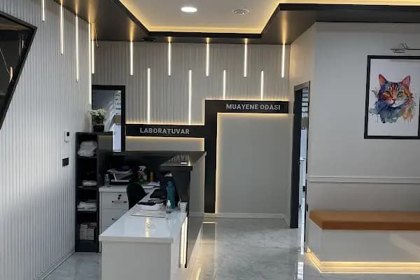 ABC Veteriner Kliniği - Veteriner - İstanbul Küçükçekmece