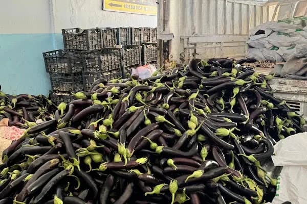 Mezra Ticaret ve Komisyon - Mezra patlıcanı Birecik patlıcanı satış noktası - Yaş Meyve Sebze Toptancısı - Şanlıurfa Birecik