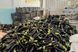 Mezra Ticaret ve Komisyon - Mezra patlıcanı Birecik patlıcanı satış noktası
