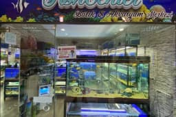 Fish Center Akvaryum