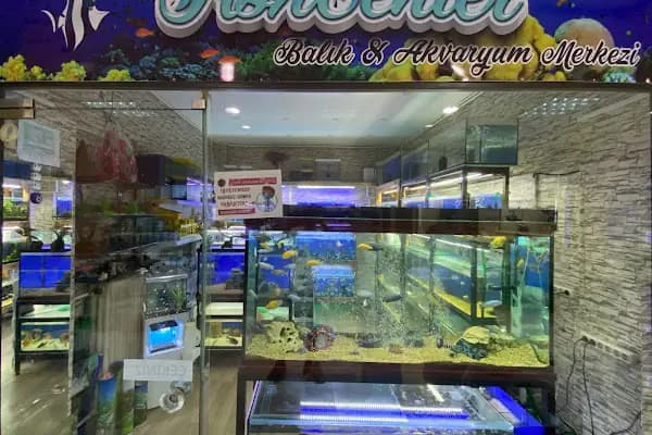 Fish Center Akvaryum - Akvaryum Mağazası - İstanbul Kadıköy
