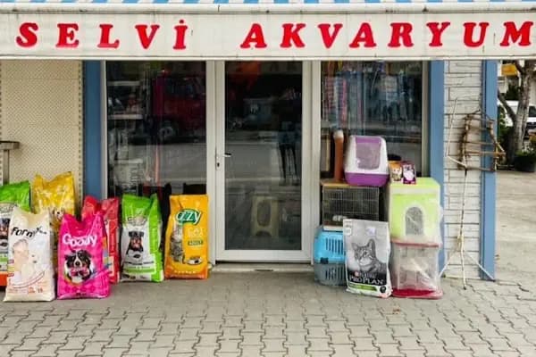 Selvi Pet Shop - Evcil hayvan mağazası - Sakarya Serdivan