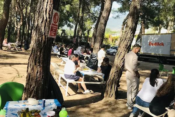 Bahçe arası piknik mangal - Izgara/Mangal Malzemeleri Mağazası - İzmir Buca