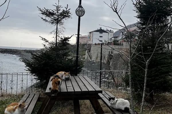 Mersin Saraçlar Cami - Cami - Trabzon Akçaabat