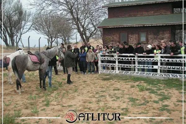 Atlıtur Gümüşdere Plajı Binicilik Alanı - Binicilik Kulübü - İstanbul Sarıyer
