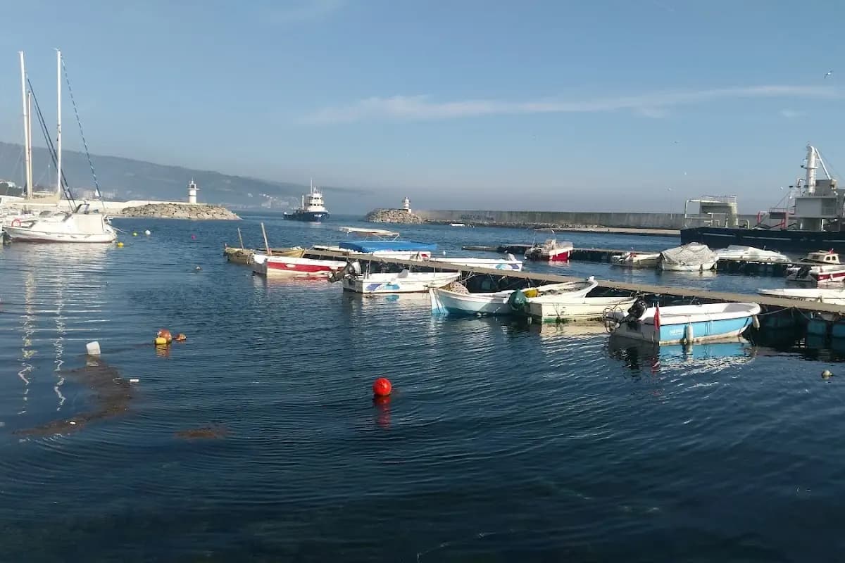 Liman İdaresi