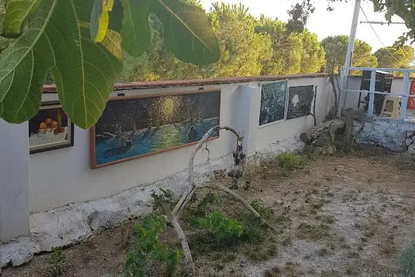 Swakrana Art House - Sanat galerisi - İzmir Buca