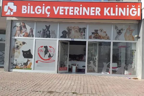 BİLGİÇ VETERİNER KLİNİĞİ - Veteriner - Konya Selçuklu