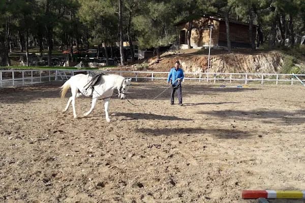 ARES At Çiftliği - At Binme Hizmeti - Antalya Kepez