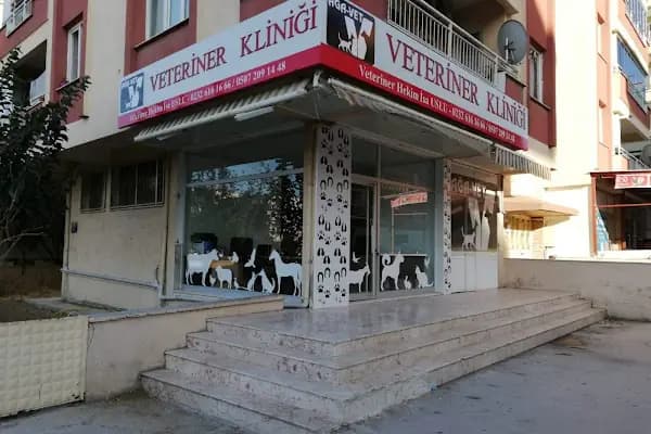 Ağa-Vet Veteriner Kliniği - Veteriner - İzmir Narlıdere