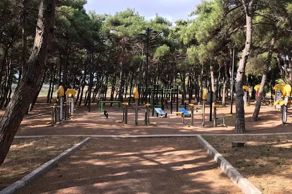 General Balcı Çamlığı - Ağaç Parkı - Balıkesir Altıeylül