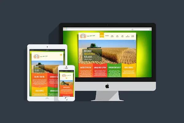 Edirne Web Tasarım - Web Sitesi Tasarımcısı - Edirne Edirne Merkez