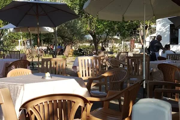 Burgazadası Aya Nikola Çay Bahçesi - Restoran - İstanbul Adalar