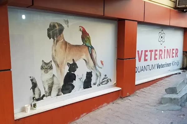 Quantum VETERİNER - Veteriner - İstanbul Esenyurt