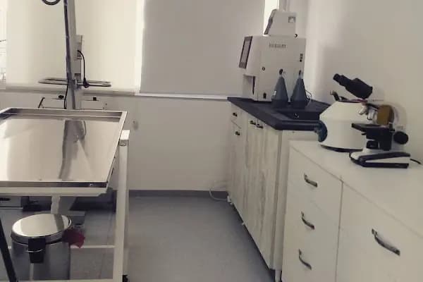 Mayada Veteriner Kliniği - Veteriner - İstanbul Bahçelievler
